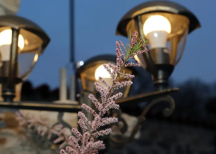 Anitea Διαμέρισμα